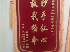 -宠爱国际动物医院· 猫科· 外科·中兽医(长白店)