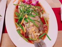 -Daddy Nimman Chiang Mai