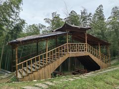 -宁波浙东大竹海景区