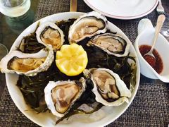 Gillardeau生蚝-金羊酒店