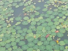 -南北湖湖光山居度假酒店