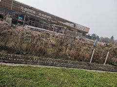 -夏河溪乡野公园