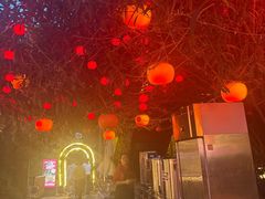 -福苗小骆驼烧烤(莲湖路店)