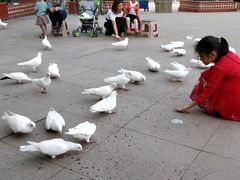 -皇家极地海洋世界-售票处