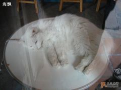 -Babycat私家御饼屋(龙头路一店)