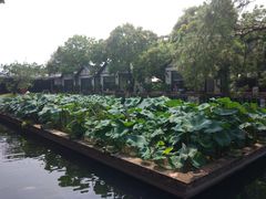 景观位-香山家宴