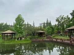 -成飞公园