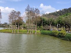 -顺峰山公园