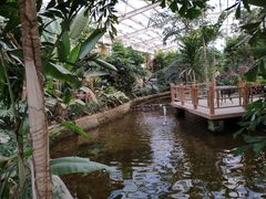 -南宫五洲植物乐园