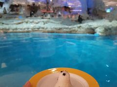 -帝企鹅自助餐厅•儿童岛•真企鹅(长隆企鹅酒店)