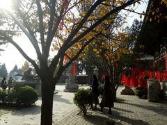 -西安乐游原