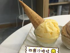 四会沙糖桔雪芭-歎雪糕低糖低脂Gelato冰淇淋