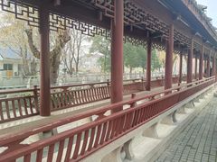 -安亭老街