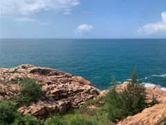 -广东惠东海龟国家级自然保护区