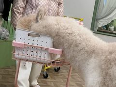 -怪兽屋·羊驼·猫咖·狗咖(俊华广场店)