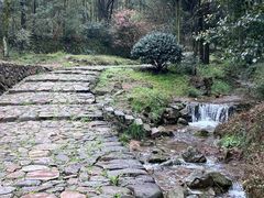 -仙霞关景区
