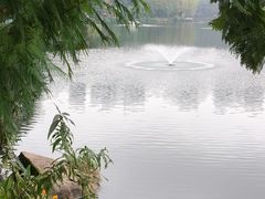-重庆彩云湖湿地公园