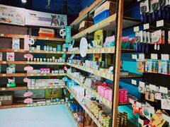 -龟与熊猫宠物公园(南坪店)