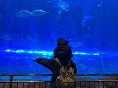 -华夏文旅海洋公园