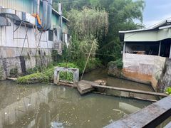 -莲湖山庄