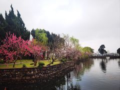 -无锡蠡湖国家湿地公园-蠡园