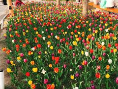 -长春公园(普阳街道)