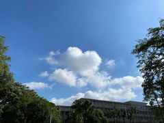 -广西大学(大学东路校区)