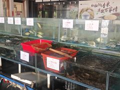 -庭苑美食中心·陈皮烧鹅·海鲜(台山店)