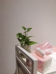 -Dr.林醫生产后修复·配方产康店(南京大厂店)