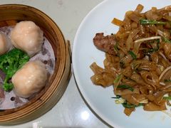 -南枝记