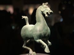 -甘肃省博物馆