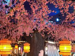 -荷塘秋月·本帮江浙菜(国权路店)