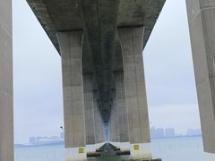 -中澳友谊花园