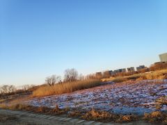 -大兴滨河森林公园