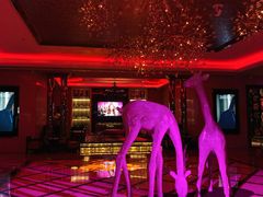 -奥斯汀KTV(金湖店)