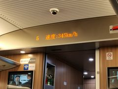 -海河外滩公园