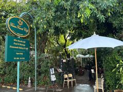 -Fern Forest Cafe