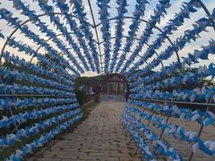 -金石滩蓝莓谷庄园