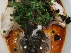 -永記粤菜·五指毛桃花雕鸡煲(九亭店)