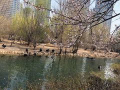 -长白岛森林公园