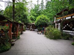 -青城甲(青城山店)