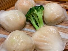 宝园虾饺皇-宝园酒家(美林M·LIVE天地东座店)