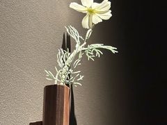 -安屿an·spa(卓悦中心商场店)