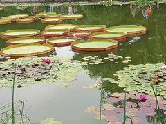 -国家植物园南园