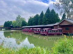 -溱湖国家湿地公园