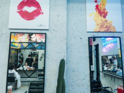 -SALON V