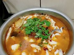 -龙梅肥肠鱼(明瓦廊店)