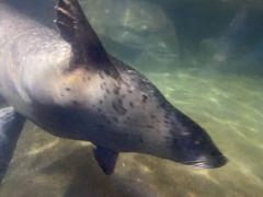 -福州罗源湾海洋世界旅游区