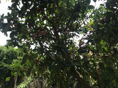 -开心农场温泉度假村