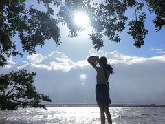 -宝安西湾红树林湿地公园